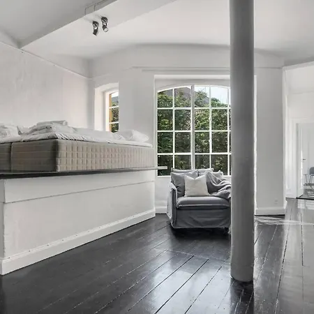 Huge Modern 5br-apartment In The City Center - The Perfect Base For Your Group! * コペンハーゲン